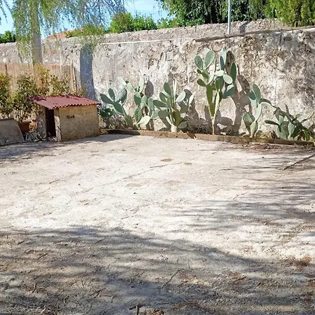Apartman Covinaia